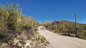 "Jews in the Desert" Mishpacha (Family) Program at CAI @ Sabino Canyon Recreation Area | Tucson | Arizona | United States