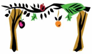 Community Sukkot Dinner at CAI @ Congregation Anshei Israel | Tucson | Arizona | United States