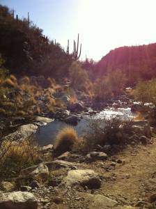 Congregation Beit Simcha and Northwest Jewish Federation Shabbat Hike and Service @ Catalina State Park parking lot | Tucson | Arizona | United States