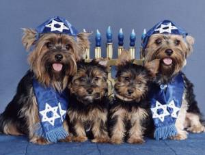 Secular Humanist Jewish Circle Chanukah Party @ Casas Adobes Congregational Church | Tucson | Arizona | United States